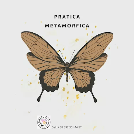 Trattamento di pratica metamorfica