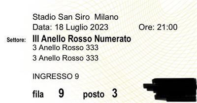 2 biglietti Concerto Ultimo