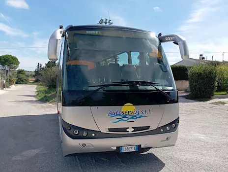 MAN 8.225 FOCL Dexon S2/N