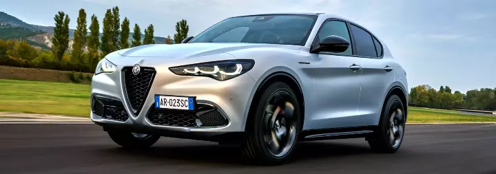 Musata stelvio