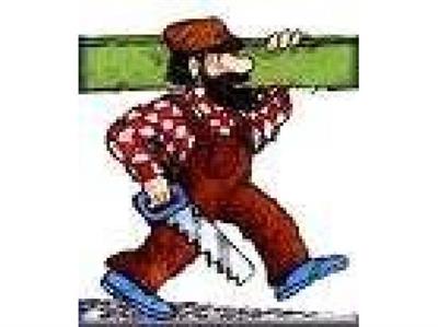 Falegname Riparazioni Adomicilio
