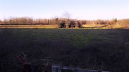 Terreno Agricolo 11000 mq.