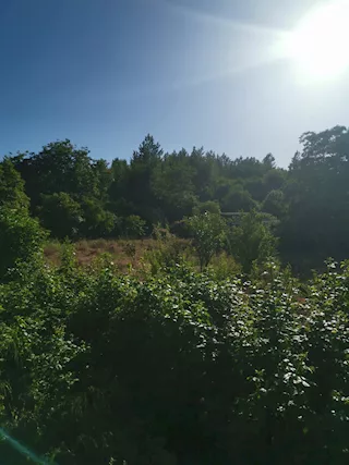 Foto - 7