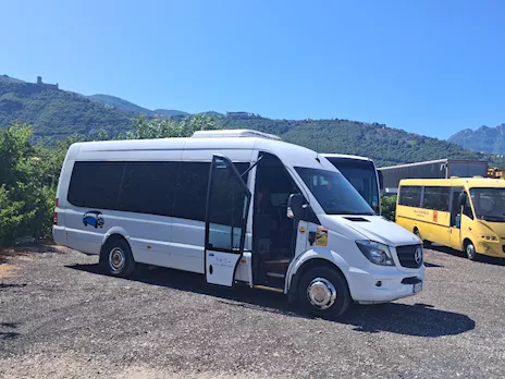 Mercedes 519 Sitcar