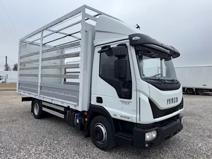 Iveco 80E22 Euro 6 con cassone centinatio 5.30 Centinato, cambio manuale - Foto 4