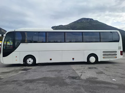 Man Lion Coach con disco