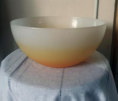 Due Ciotole di Plastica da cucina