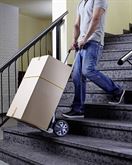 Foto 5 Wolfcraft Carrello da Trasporto TS 850
