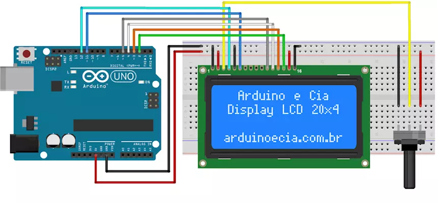 Cerco Studente Informatico