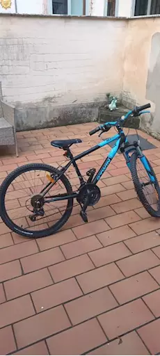 Bicicletta bambino