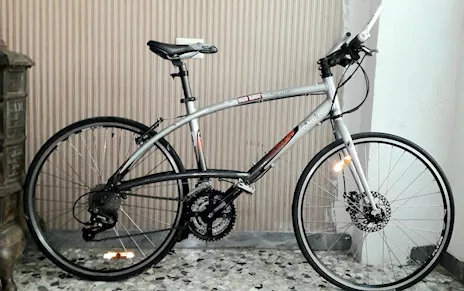 Tribal Btwin