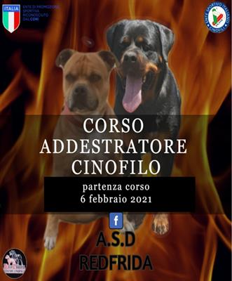 CORSO ADDESTRATORE CINOFILO RICONOSCIUTO ENDAS - Anteprima 1