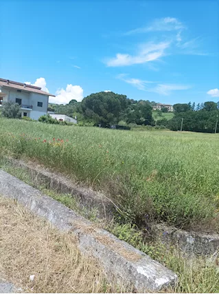 Terreno a Montalto Uffugo