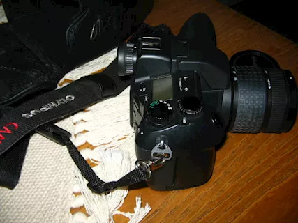 Foto - 7