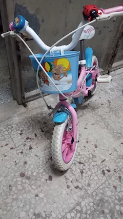 Bicicletta Bambina, ottimo stato - Foto 5