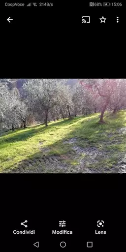 Terreno agricolo