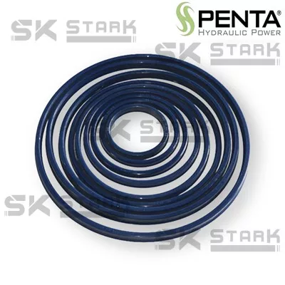 Kit Guarnizione Per Cilindro “HS PENTA” Sfilo Diametro 174