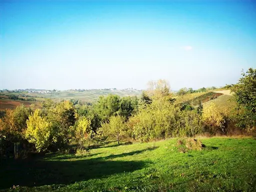 TERRENO EDIFICABILE zona collinare (tra Piacenza e Pavia)