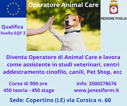 Corso di ANIMAL CARE