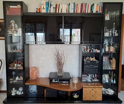 Sala laccato nero lucido e radica