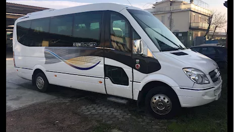 Minibus anno 2007