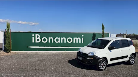 Fiat Panda 4X4 Van - Euro 6B - autocarro