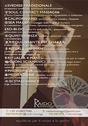 RAIDO holistic