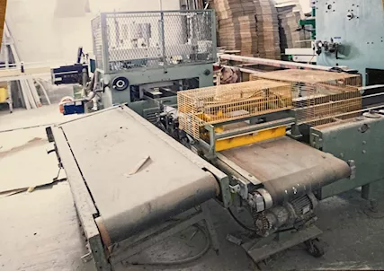 IMPIANTO AUTOMATICO FORMATRICE FARDELLI USATO, marca WRAPMATIC - Foto 2