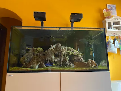 Acquario marino Redsea 425xl - Anteprima 1