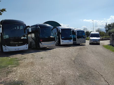 Attività con n. 5 autobus