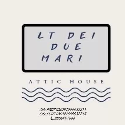 ATTIC HAUSE Lt Dei Due Mari - Vieste - Foto 4