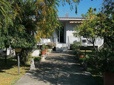 Foto - 11