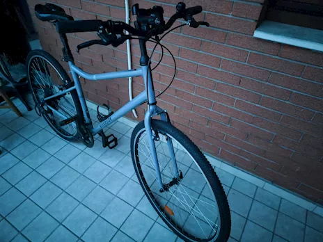 Bicicletta Riverside 120