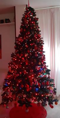 Albero di natale - Foto 2