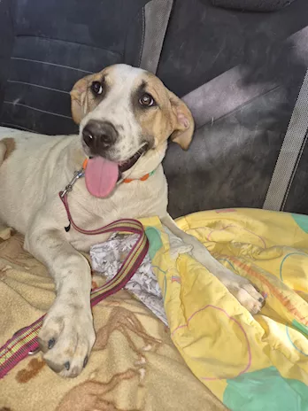 Giada 7 mesi e Gioia 6 mese, belle ma invisibili - Anteprima 6