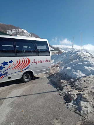 minibus Fiat Iveco wing