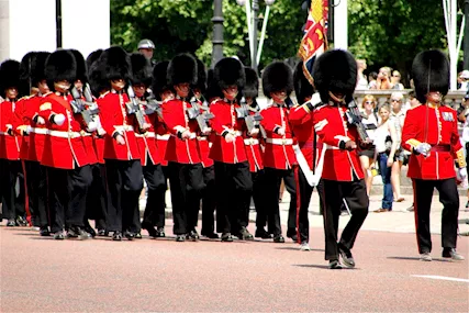 Esperto Insegnante Madrelingua Inglese (Ph.D)