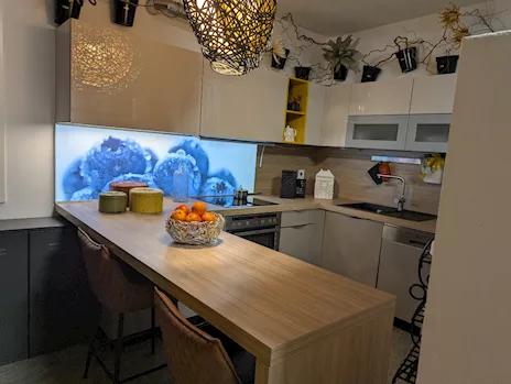 Cucina usata con elettrodomestici