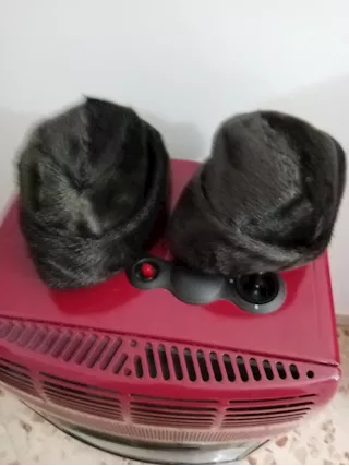 Vendita cappelli uomo