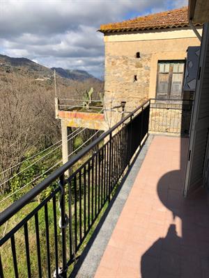 Foto - 12