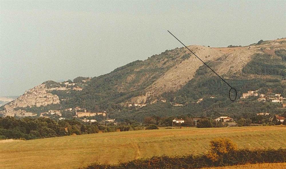 Terreno boschivo