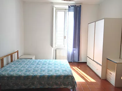 Ampia Camera Singola in Viale Corsica
