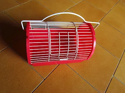 Trasportino piccoli uccelli o roditori