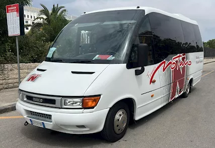  Iveco Wing (anno 2004)