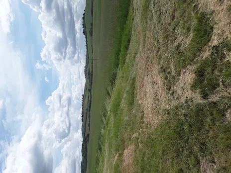 Azienda agricola