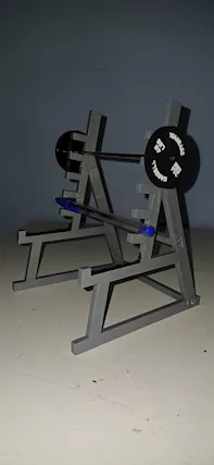 Conservazione penne e matite a tema palestra