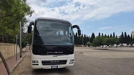 Man Lion’s coach