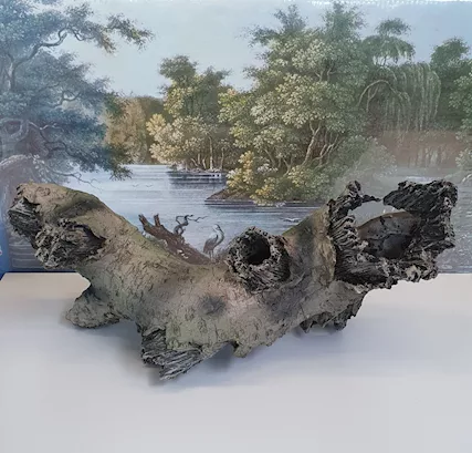 Ceppo di tronco d'albero per acquario.