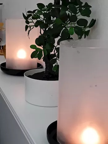 Vibroterapia - Foto 5