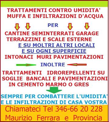 Imbiancatura, ristrutturazione, antimuffa, antiumidità, in legno - Foto 3